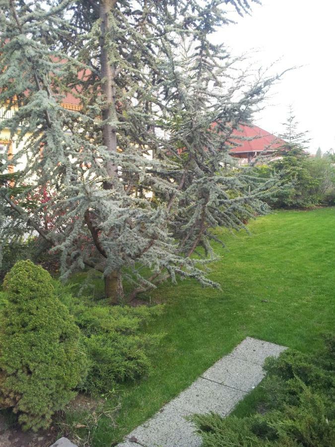 Anna Villa Balatonlelle Zewnętrze zdjęcie